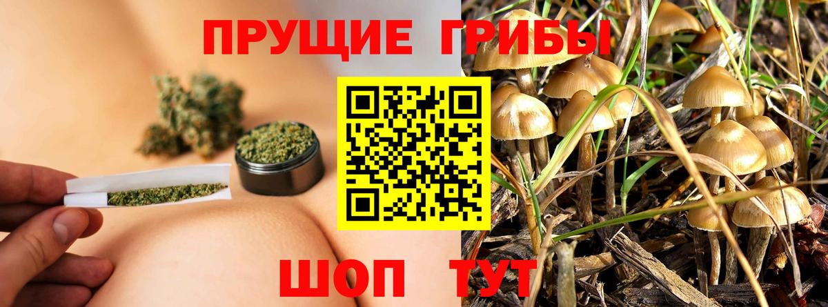 Псилоцибиновые грибы прущие грибы Надым