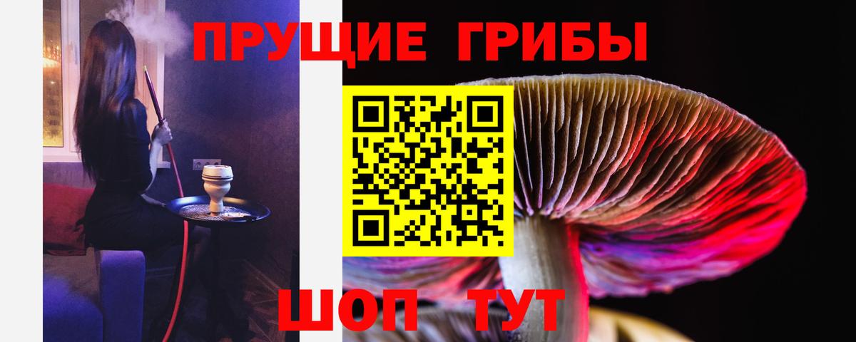 Галлюциногенные грибы Magic Shrooms  даркнет сайт  Надым  Вход с VPN 